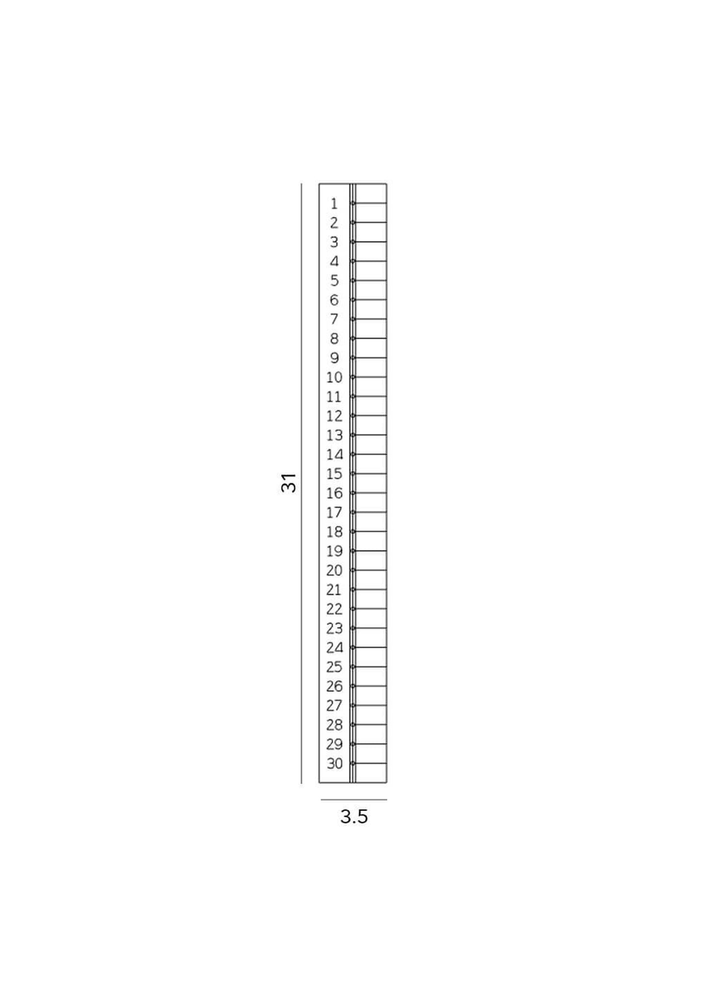 Magic Ruler