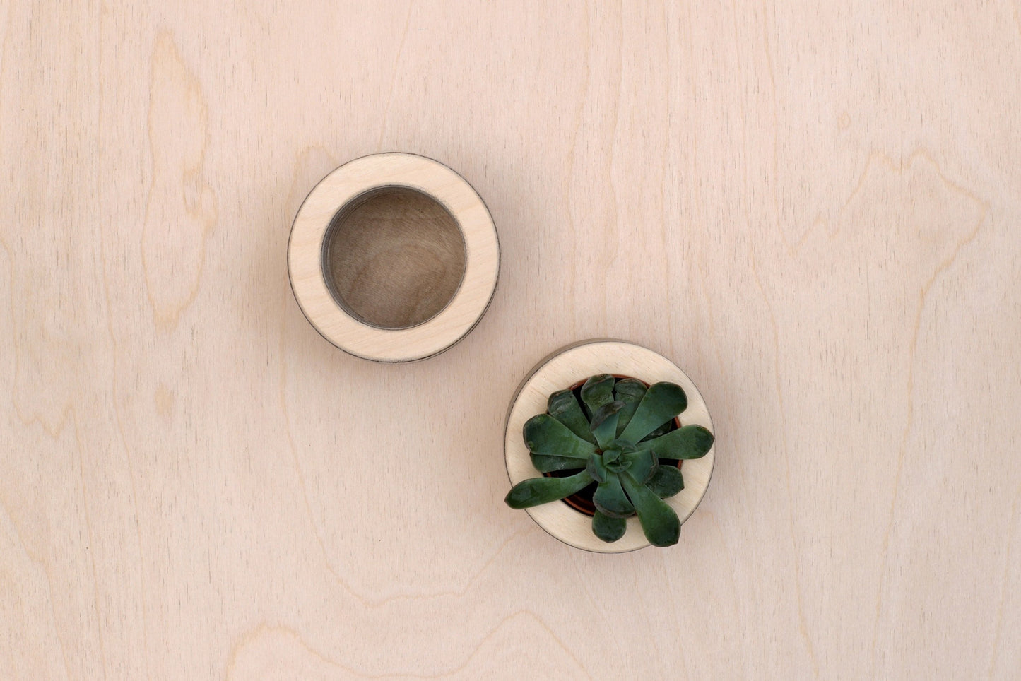 Mini Plant Pot