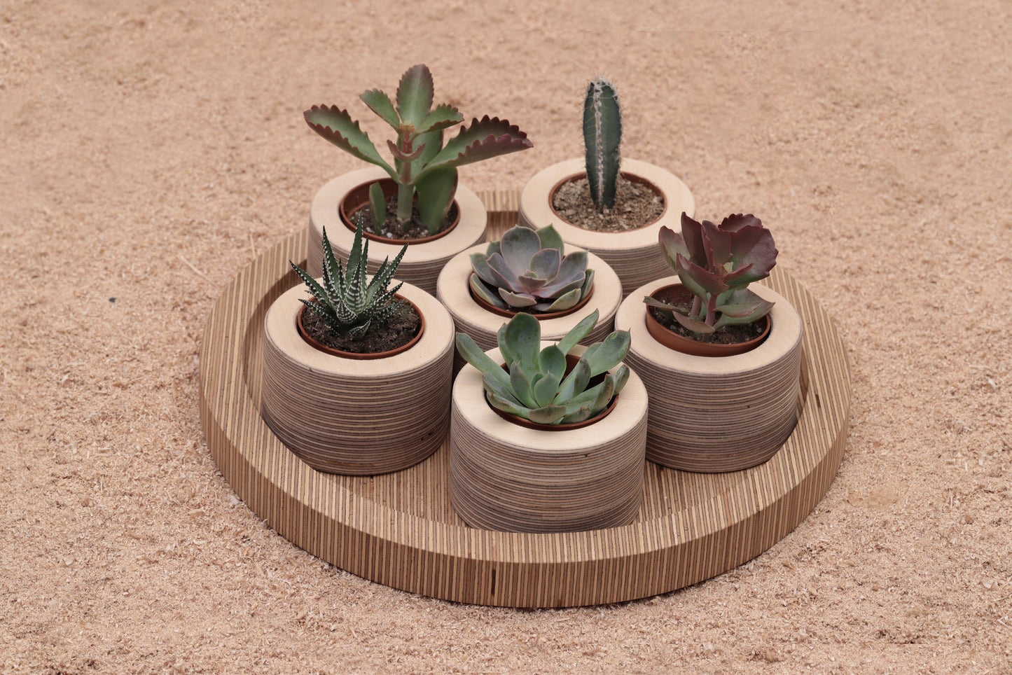 Mini Plant Pot