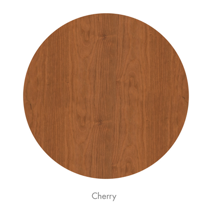 Wood Finish Sample Coasters